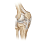 Joint Pain