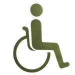 Paralysis Recovery Support